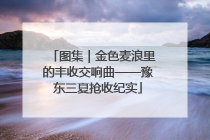 图集｜金色麦浪里的丰收交响曲——豫东三夏抢收纪实