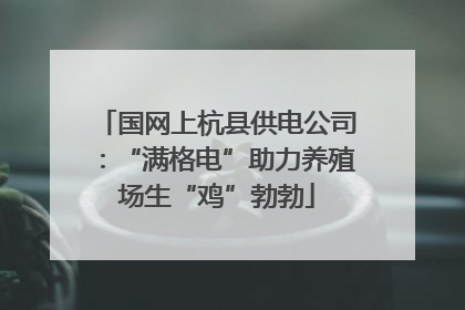 国网上杭县供电公司：“满格电”助力养殖场生“鸡”勃勃