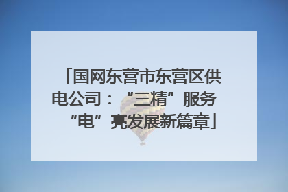 国网东营市东营区供电公司：“三精”服务“电”亮发展新篇章