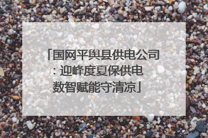 国网平舆县供电公司：迎峰度夏保供电  数智赋能守清凉