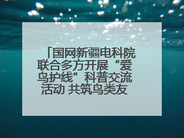 国网新疆电科院联合多方开展“爱鸟护线”科普交流活动 共筑鸟类友好城市