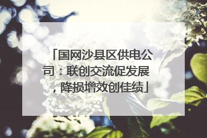 国网沙县区供电公司：联创交流促发展，降损增效创佳绩
