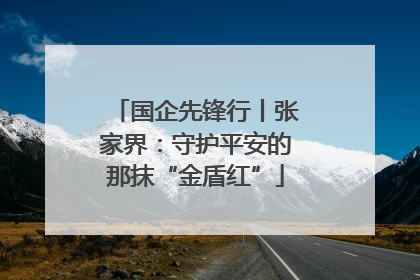 国企先锋行丨张家界：守护平安的那抹“金盾红”