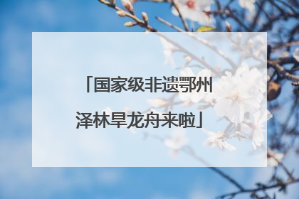 国家级非遗鄂州泽林旱龙舟来啦