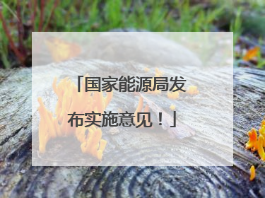 国家能源局发布实施意见！