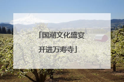 国潮文化盛宴开进万寿寺
