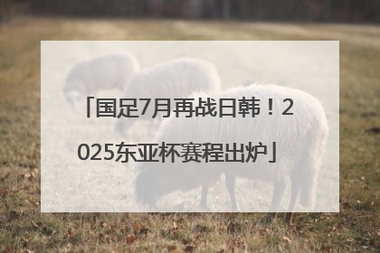 国足7月再战日韩！2025东亚杯赛程出炉