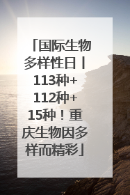 国际生物多样性日丨113种+112种+15种！重庆生物因多样而精彩