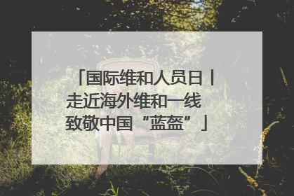 国际维和人员日丨走近海外维和一线 致敬中国“蓝盔”
