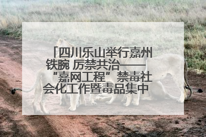 四川乐山举行嘉州铁腕 厉禁共治——“嘉网工程”禁毒社会化工作暨毒品集中销毁启动仪式