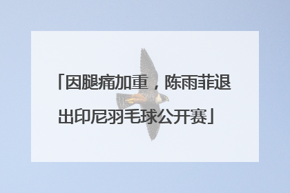 因腿痛加重，陈雨菲退出印尼羽毛球公开赛