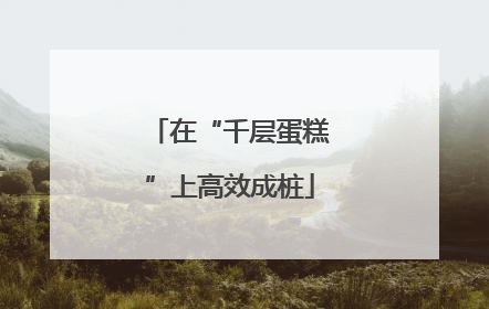 在“千层蛋糕”上高效成桩