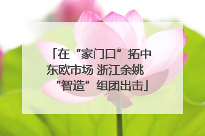 在“家门口”拓中东欧市场 浙江余姚“智造”组团出击