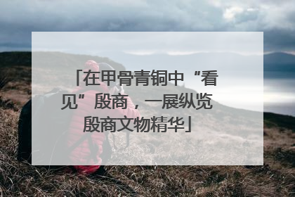 在甲骨青铜中“看见”殷商，一展纵览殷商文物精华
