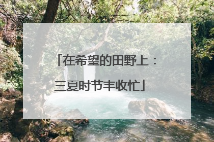 在希望的田野上：三夏时节丰收忙