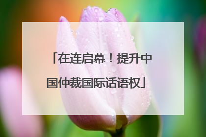 在连启幕！提升中国仲裁国际话语权