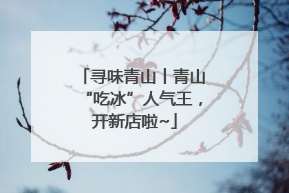 寻味青山丨青山“吃冰”人气王，开新店啦~