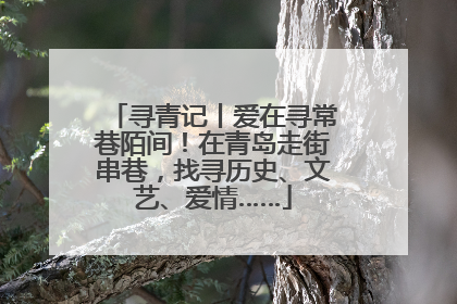 寻青记丨爱在寻常巷陌间！在青岛走街串巷，找寻历史、文艺、爱情……