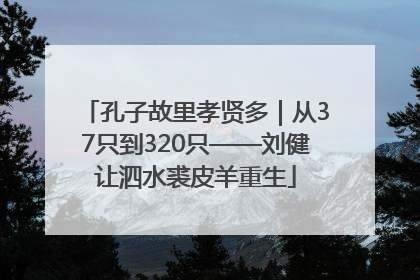 孔子故里孝贤多｜从37只到320只——刘健让泗水裘皮羊重生