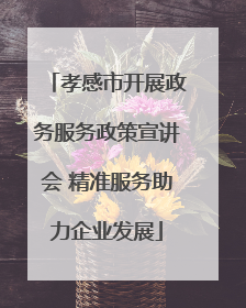 孝感市开展政务服务政策宣讲会 精准服务助力企业发展
