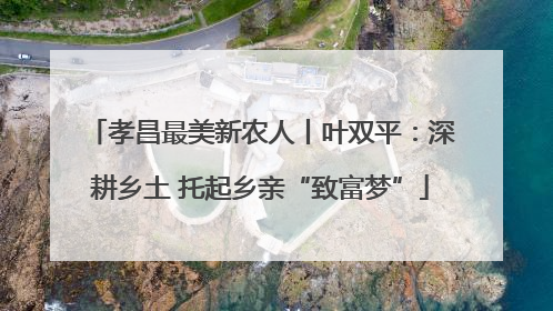 孝昌最美新农人丨叶双平：深耕乡土 托起乡亲“致富梦”
