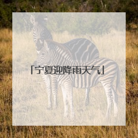 宁夏迎降雨天气