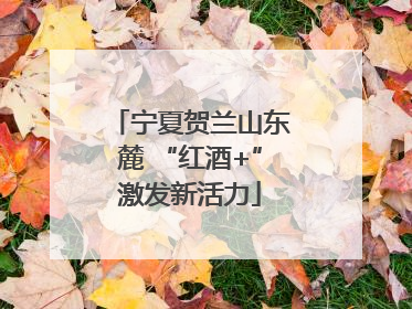 宁夏贺兰山东麓 “红酒+”激发新活力