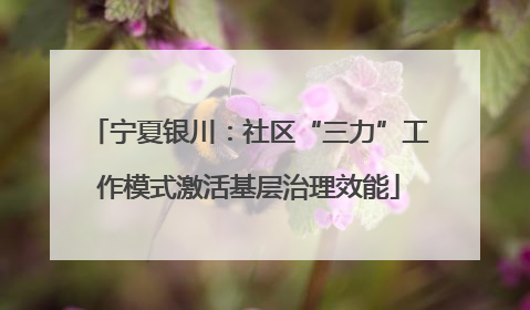 宁夏银川：社区“三力”工作模式激活基层治理效能