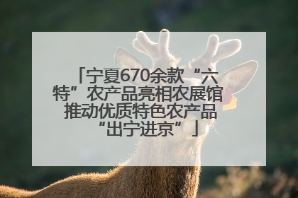 宁夏670余款“六特”农产品亮相农展馆 推动优质特色农产品“出宁进京”