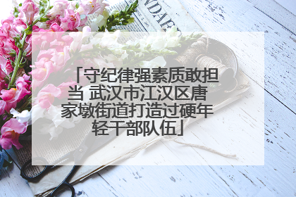 守纪律强素质敢担当 武汉市江汉区唐家墩街道打造过硬年轻干部队伍