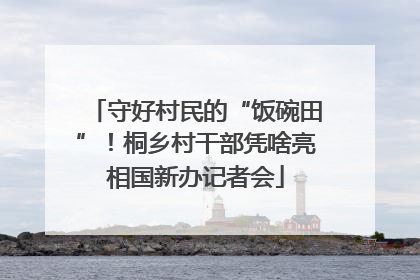 守好村民的“饭碗田”！桐乡村干部凭啥亮相国新办记者会