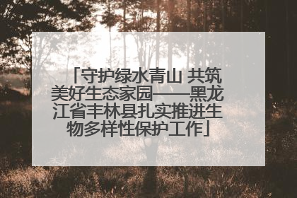 守护绿水青山 共筑美好生态家园——黑龙江省丰林县扎实推进生物多样性保护工作