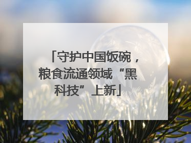 守护中国饭碗，粮食流通领域“黑科技”上新