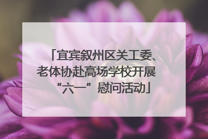 宜宾叙州区关工委、老体协赴高场学校开展“六一”慰问活动