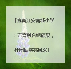 宜宾江安南城小学：五育融合结硕果，社团展演亮风采