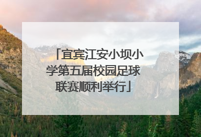 宜宾江安小坝小学第五届校园足球联赛顺利举行