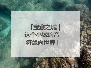 宝藏之城｜这个小城的音符飘向世界