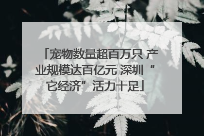 宠物数量超百万只 产业规模达百亿元 深圳“它经济”活力十足