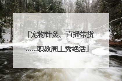 宠物针灸、直播带货……职教周上秀绝活