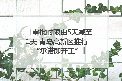 审批时限由5天减至1天 青岛高新区推行“承诺即开工”