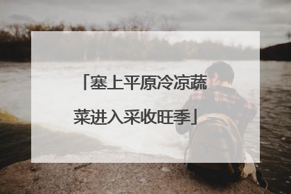 塞上平原冷凉蔬菜进入采收旺季