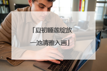 夏初睡莲绽放 一池清雅入画