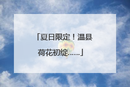 夏日限定！温县荷花初绽……