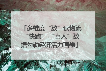多维度“数”读物流“快跑” “喜人”数据勾勒经济活力画卷