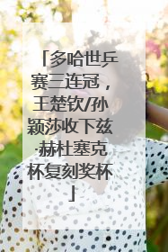 多哈世乒赛三连冠，王楚钦/孙颖莎收下兹·赫杜塞克杯复刻奖杯