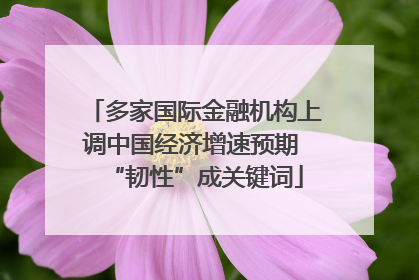 多家国际金融机构上调中国经济增速预期 “韧性”成关键词