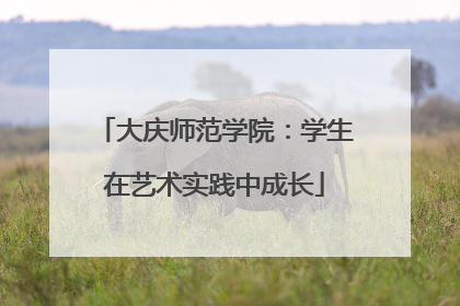 大庆师范学院：学生在艺术实践中成长