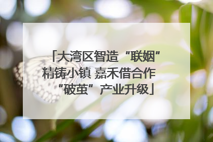 大湾区智造“联姻”精铸小镇 嘉禾借合作“破茧”产业升级