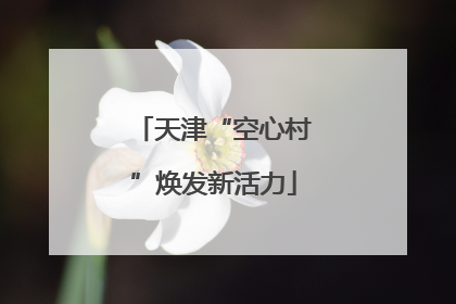 天津“空心村”焕发新活力