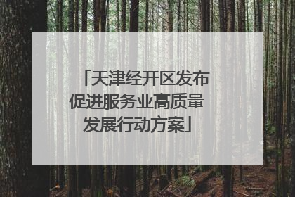 天津经开区发布促进服务业高质量发展行动方案